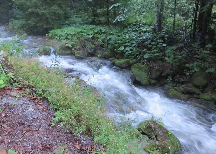 Apartment Chopok Juh Romantika 14